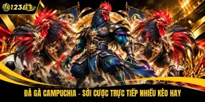 Đá Gà Campuchia - Sới Cược Trực Tiếp Nhiều Kèo Hay