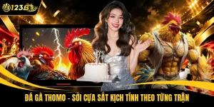 Đá Gà Thomo - Sới Cựa Sắt Kịch Tính Theo Từng Trận
