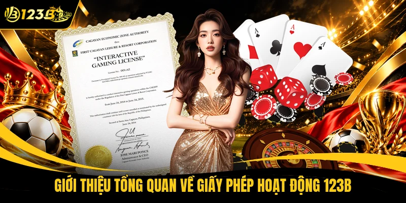 Giới thiệu tổng quan về giấy phép hoạt động 123B