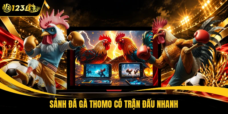 Sảnh đá gà thomo có trận đấu nhanh